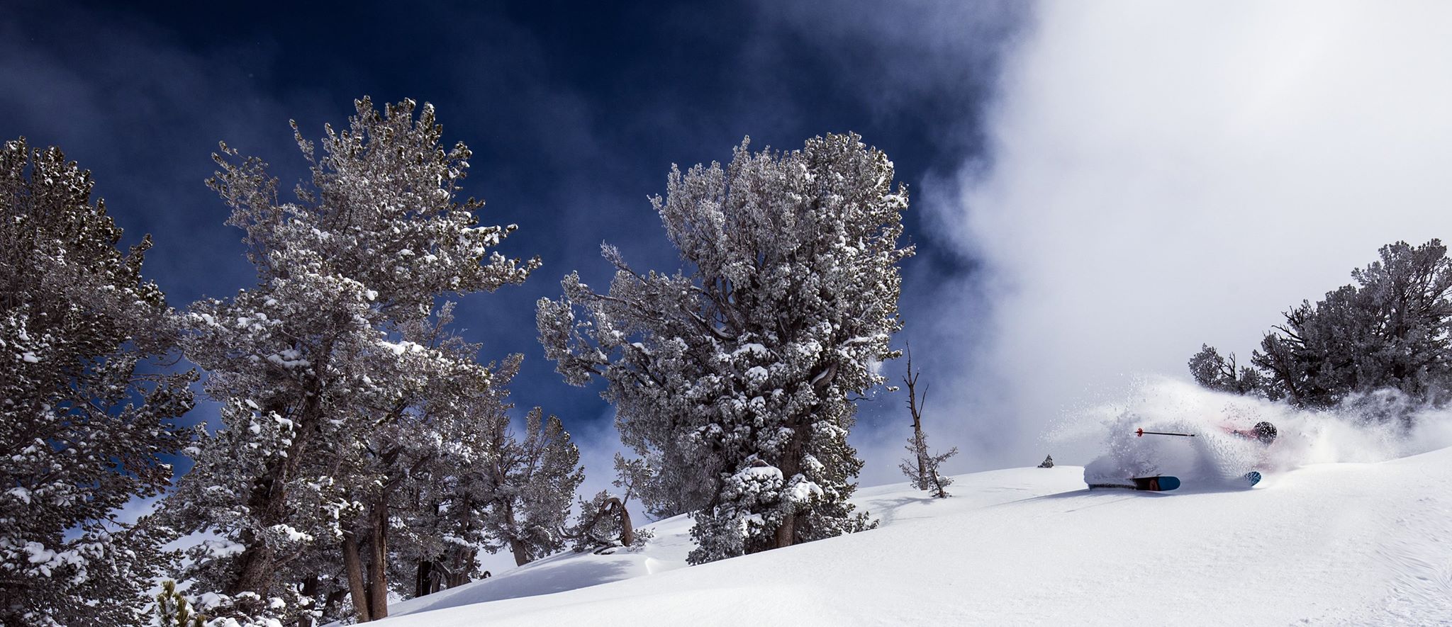 Some of the driest pow around. photo: ruby mountain heli experience