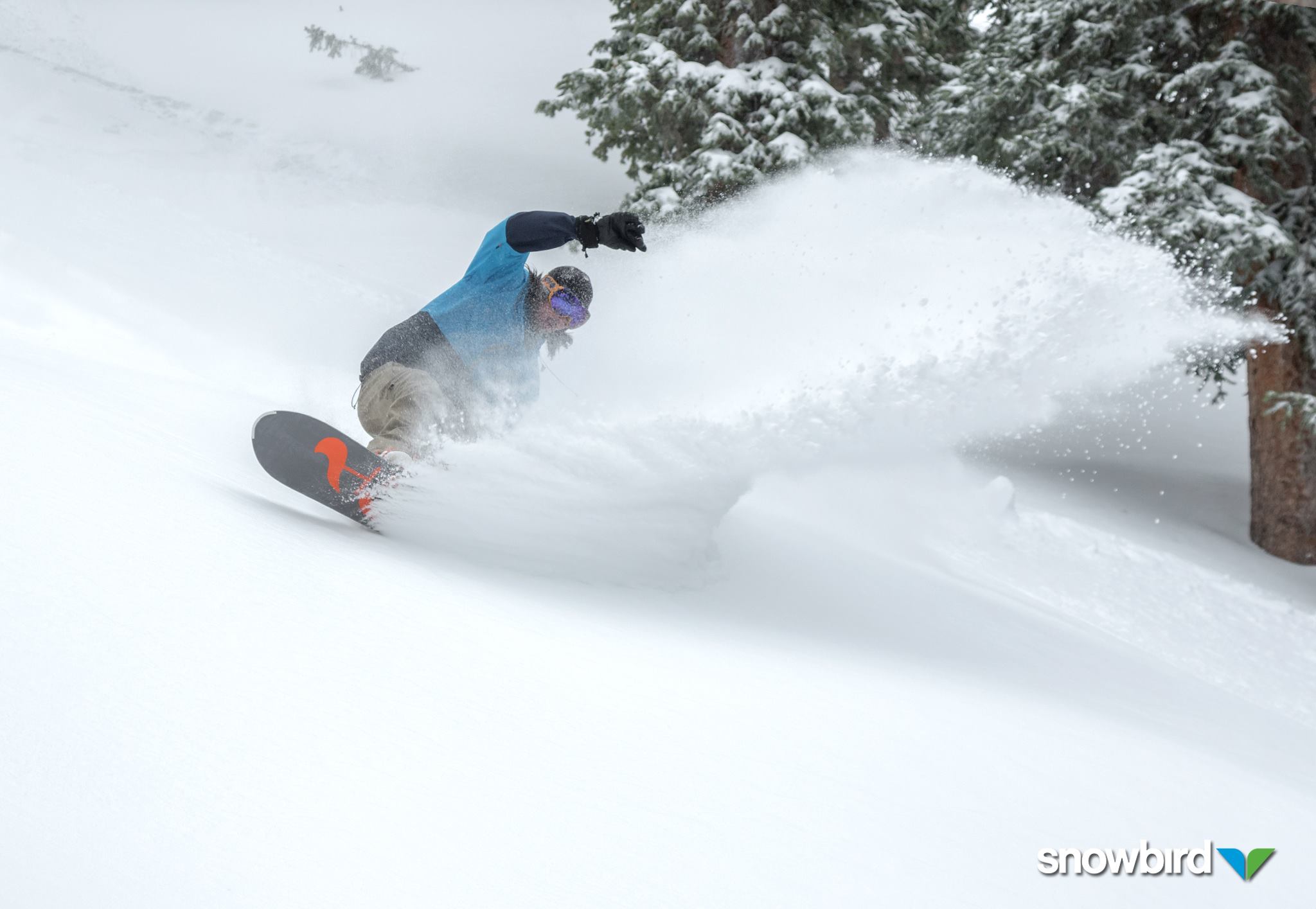Snowbird, UT today after 13" in the past 48 hours. image: snowbird