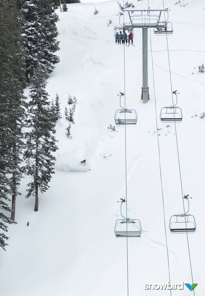 Snowbird, UT today after 13" in the past 48 hours.  image:  snowbird
