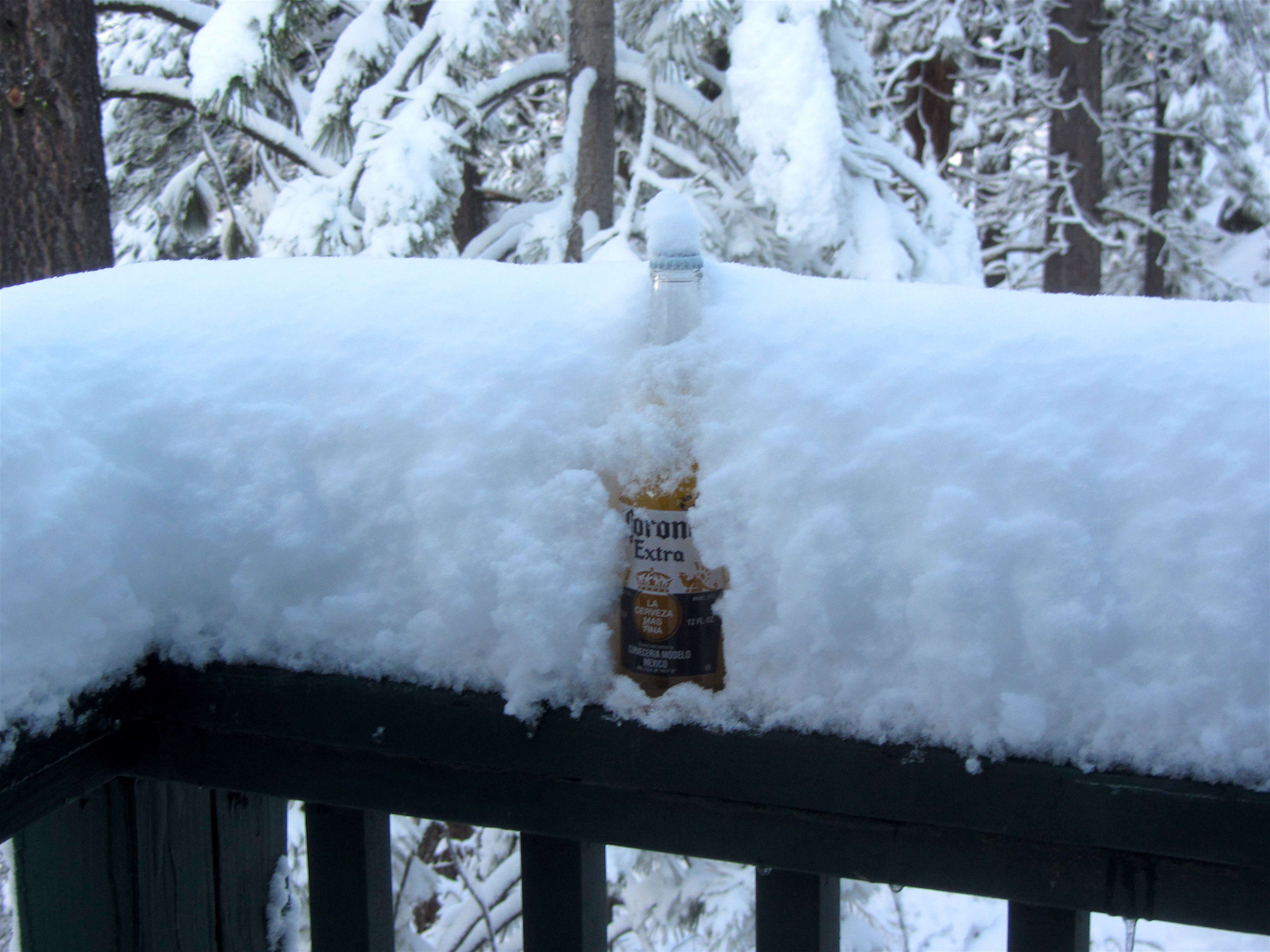 Corona deep on the railing in Squaw Valley this morning. photo: snowbrains