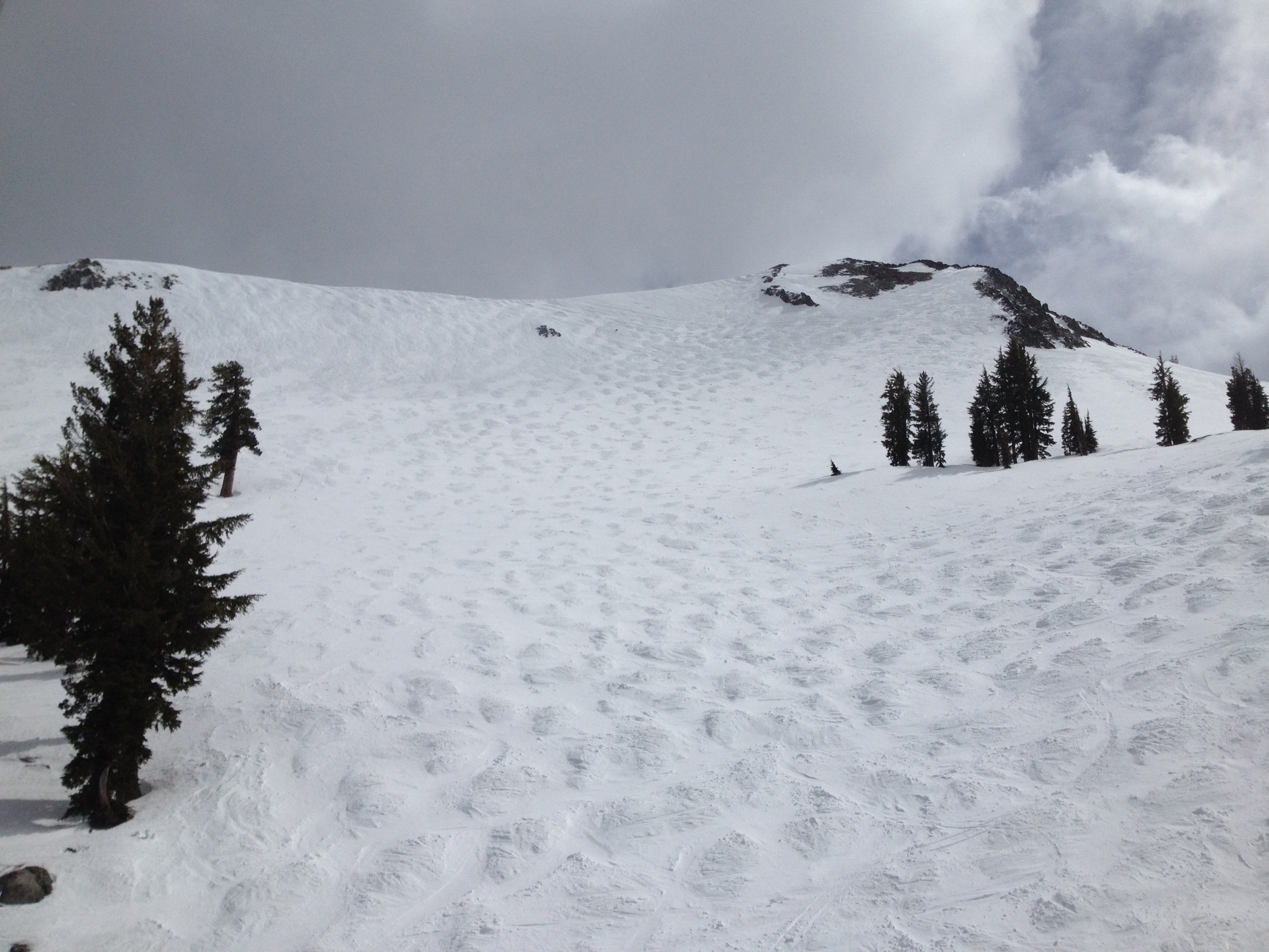 Ferocious and untouched bumps in North Bowl today.