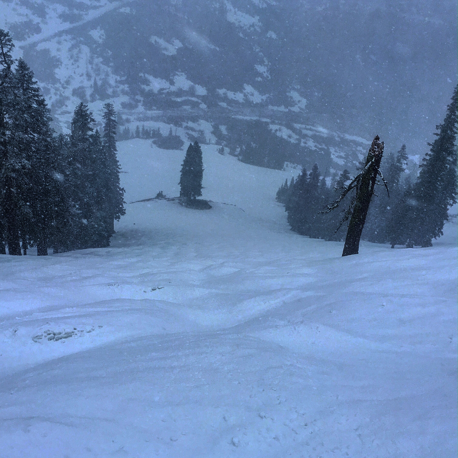 West Face at Squaw at 10am today. photo: yimmers/snowbrains