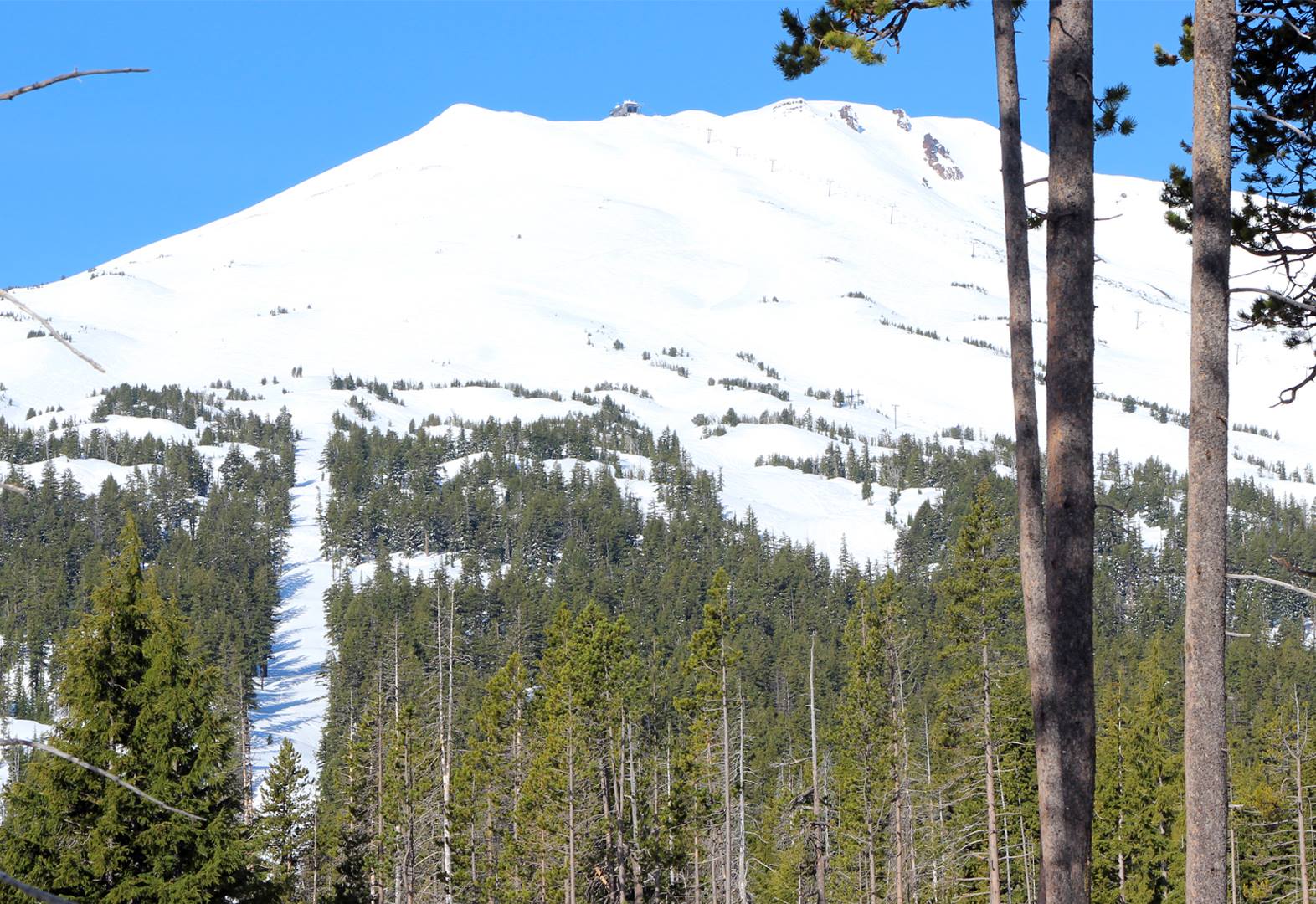 Mt. Bachelor, OR and the cut where the new Cloudchaser chairlift will be next year. photo: Bachelor, today