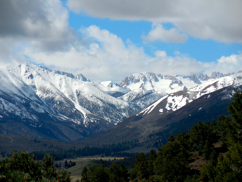 Sawtooth Ridge on Sunday.   photo: miles clark/snowbrains
