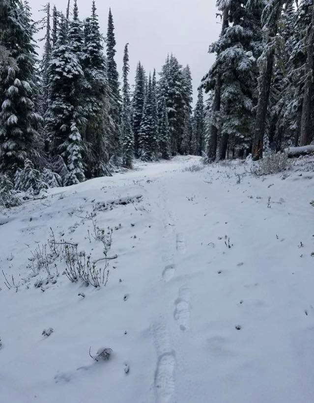 White Pass ski area, WA yesterday. photo: white pass
