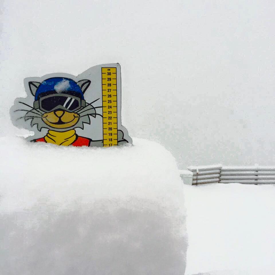 Treble Cone cat showing 17cms at the base today. image: treble cone