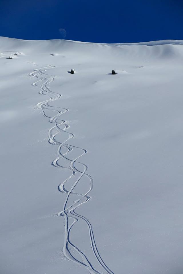 Mt. McKay and fresh tracks on August 21st, 2016.  photo:  skiing with steve lee