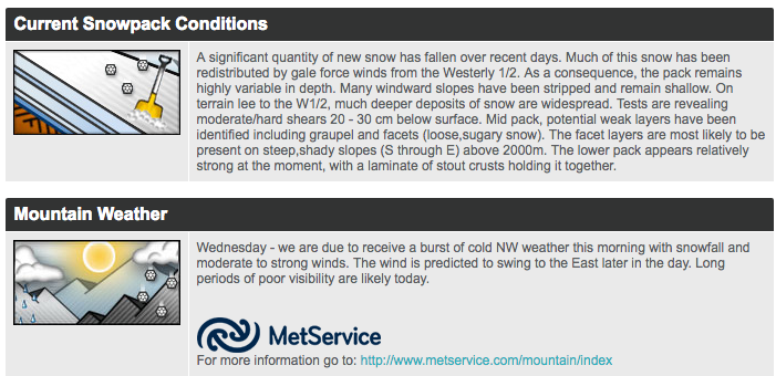 Today's avalanche risk.  image:  Mountain Safety Council 