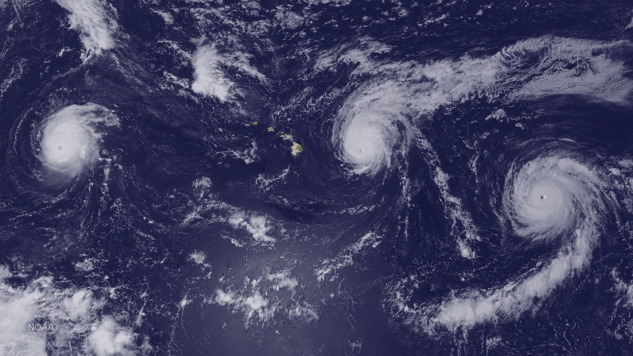Kilo (right), Ignacio (center), and Jimena (left) simultaneously spin over the Eastern North Pacific Basin. Image from GOES West, August 31, 2015. Image by NOAA EVL.