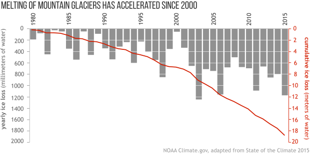 In 2015, glaciers across the globe, on average, continued to shrink for the 36th consecutive year. Cumulative mass loss since 1980 is 18.8 meters, the equivalent of cutting a 20.5 meter [67-foot] thick slice of the top of the average glacier.