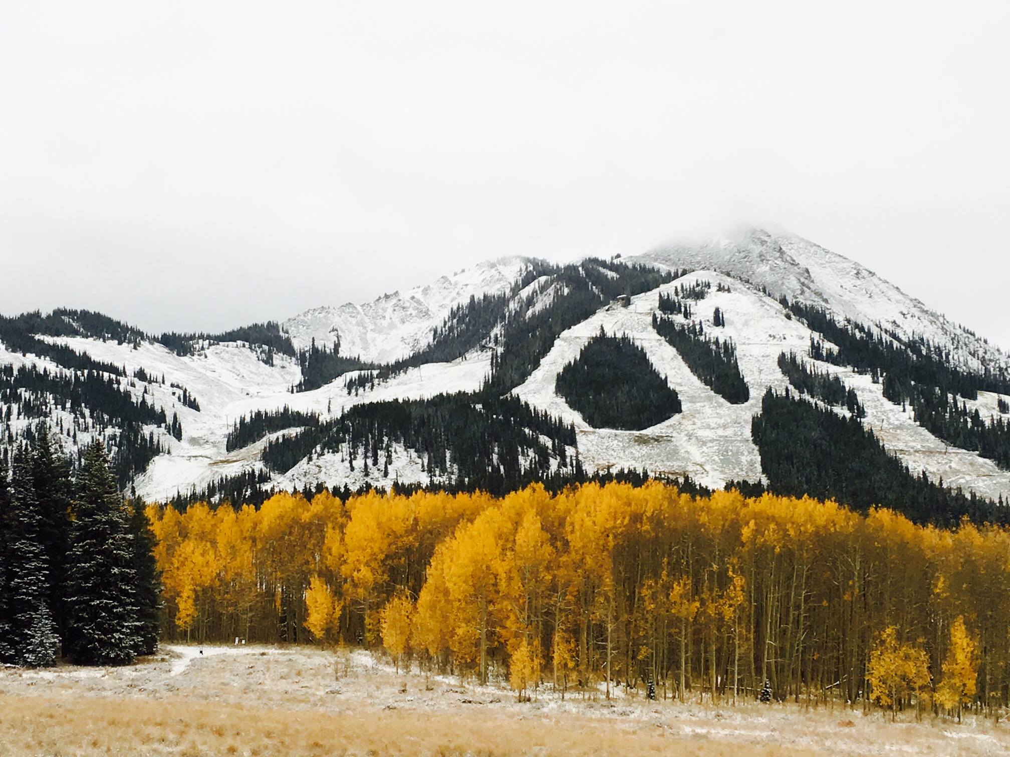 Crested Butte, CO today.  photo:  crested butte