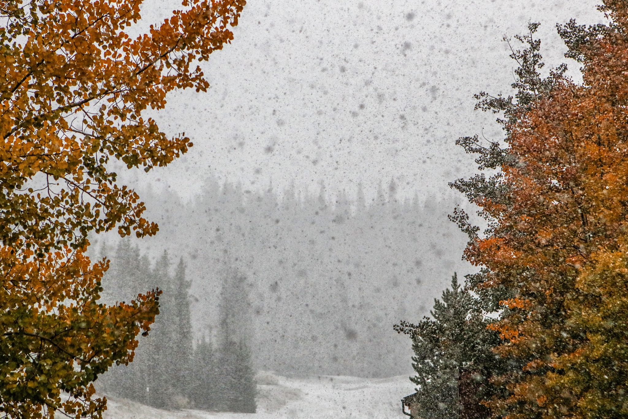 Copper Mountain, CO on September 23rd, 2016. photo: copper mt.