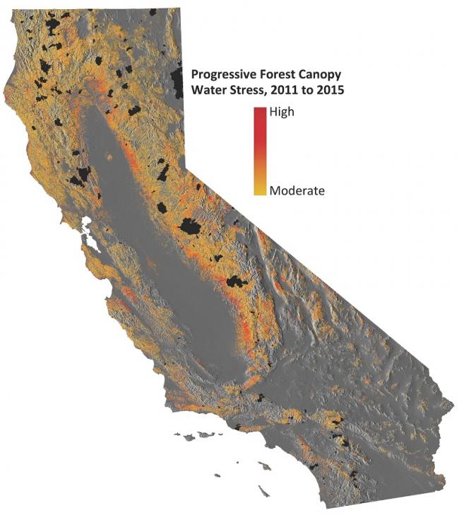 California Forest Losses Due to Drought Credit: Gregory Asner/Carnegie Institute for Science