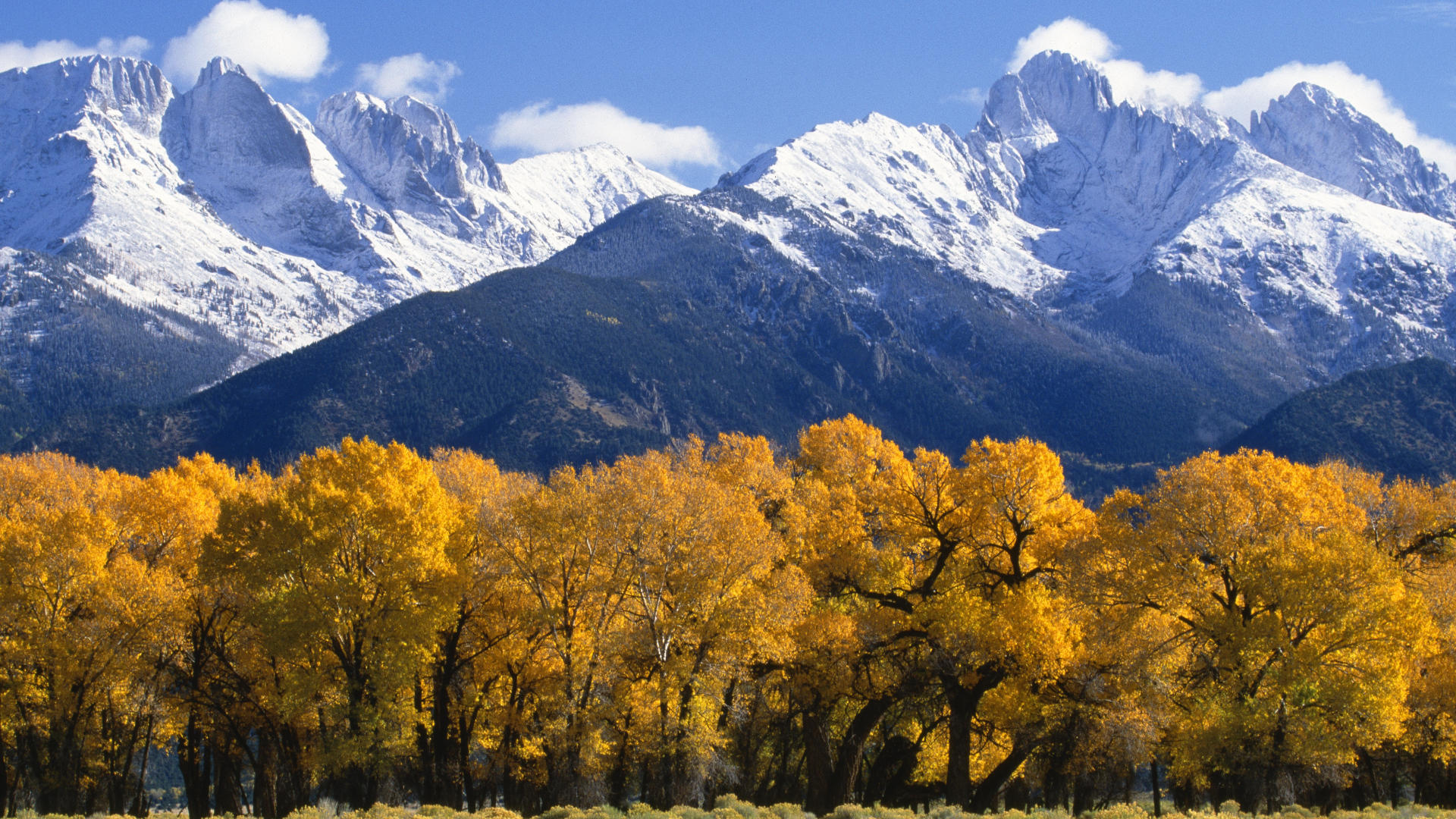 Stock image of autumn snow in the Rocky Mountains.