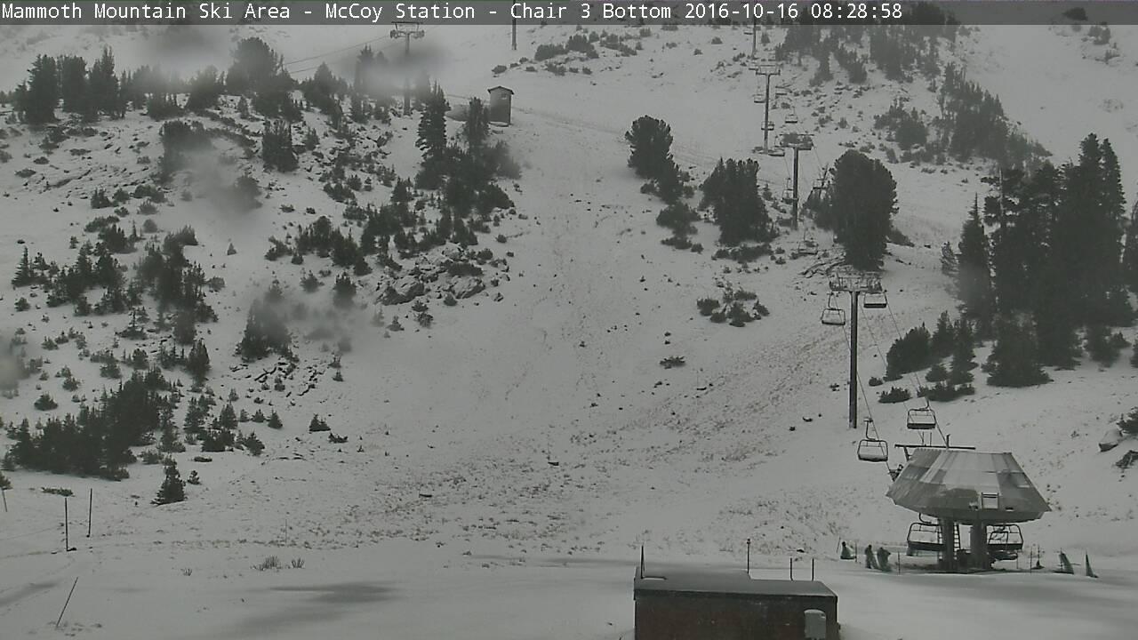 Mid-Mountain at Mammoth, CA today at 9am. 