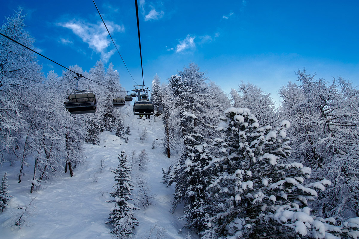 Tignes, France - tree skiing Credit: igluski.com