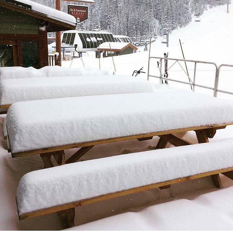 The snow is piling UP to say the least! PC: thesnowgauge.net