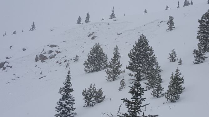 Photo of recent avalanche in CO.  image:  caic