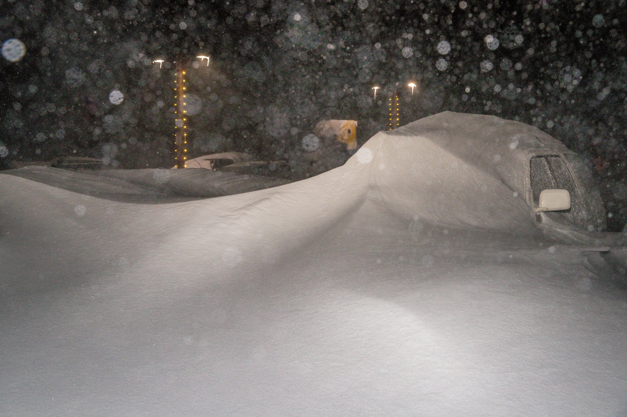 Mammoth parking lot today.  image:  mammoth