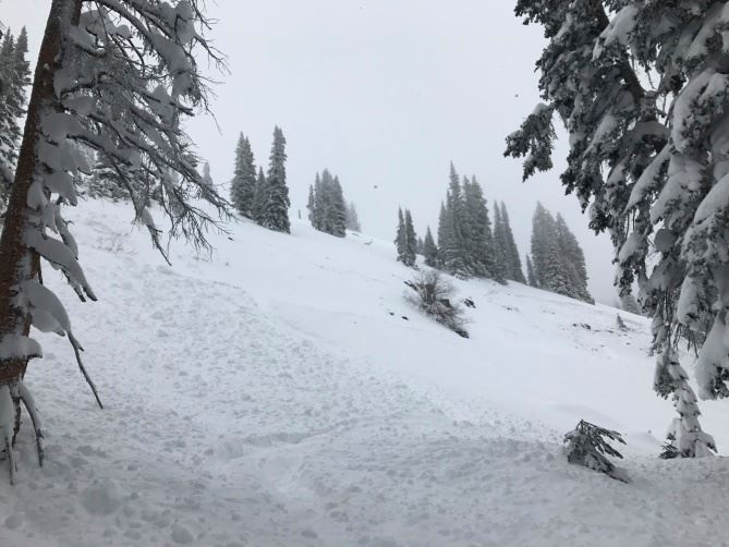 Photo of recent avalanche in CO.  image:  caic