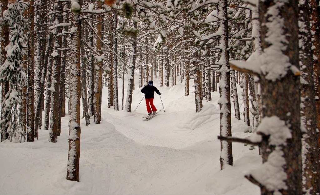 Tree skiing at Breckenridge Ski Resort. PC: Ian Leirfallom