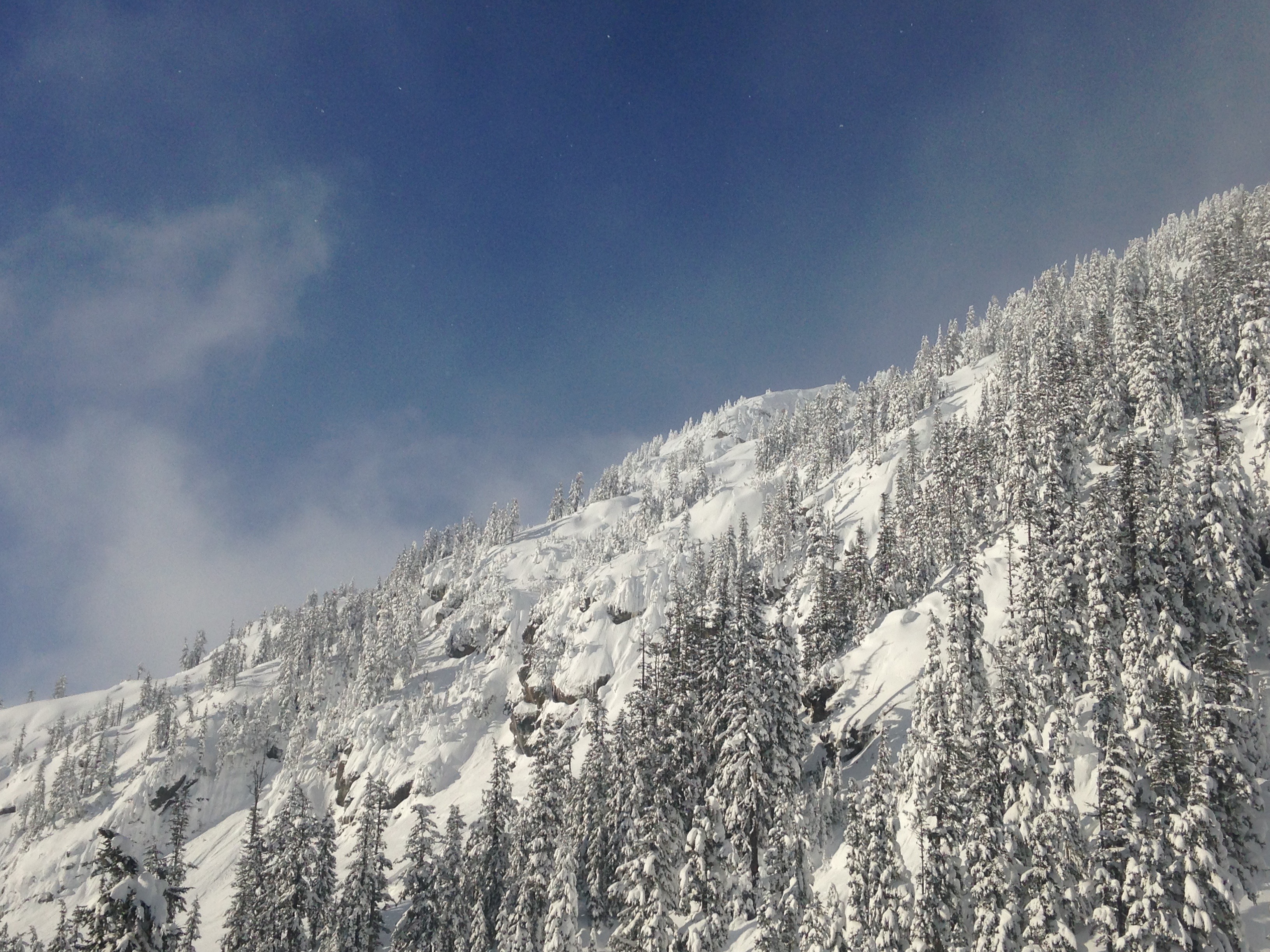 Mt. Baker ski area, WA yesterday. image: frankie/snowbrains
