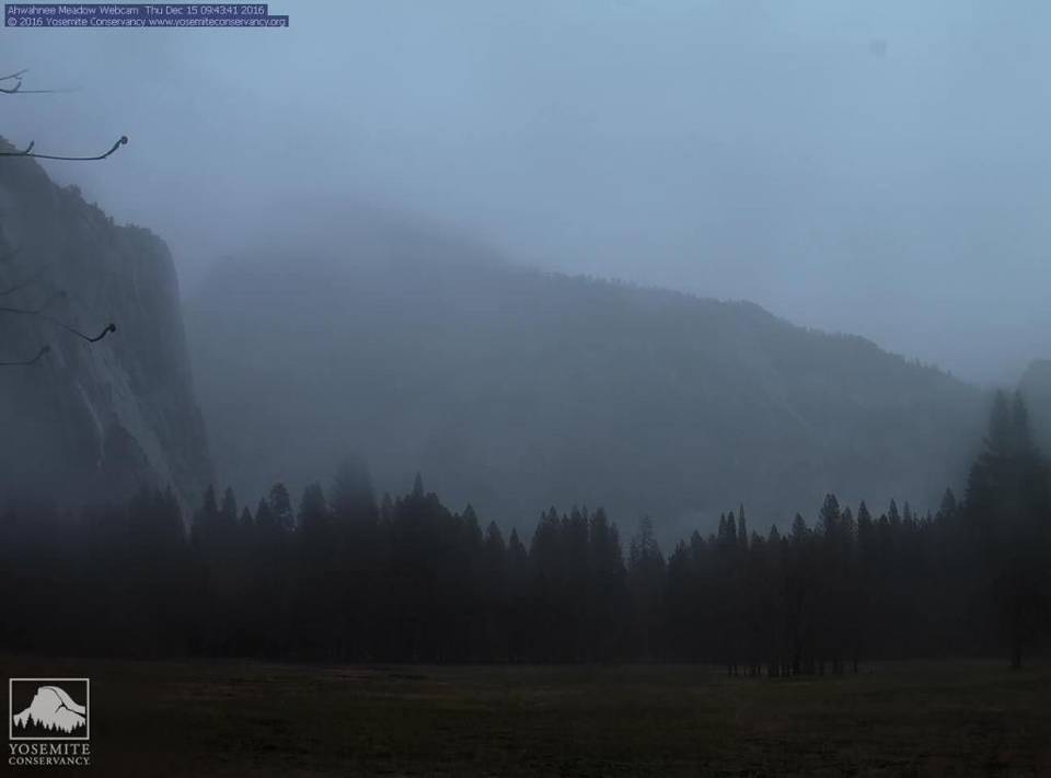 Rain at Yosemite yesterday.