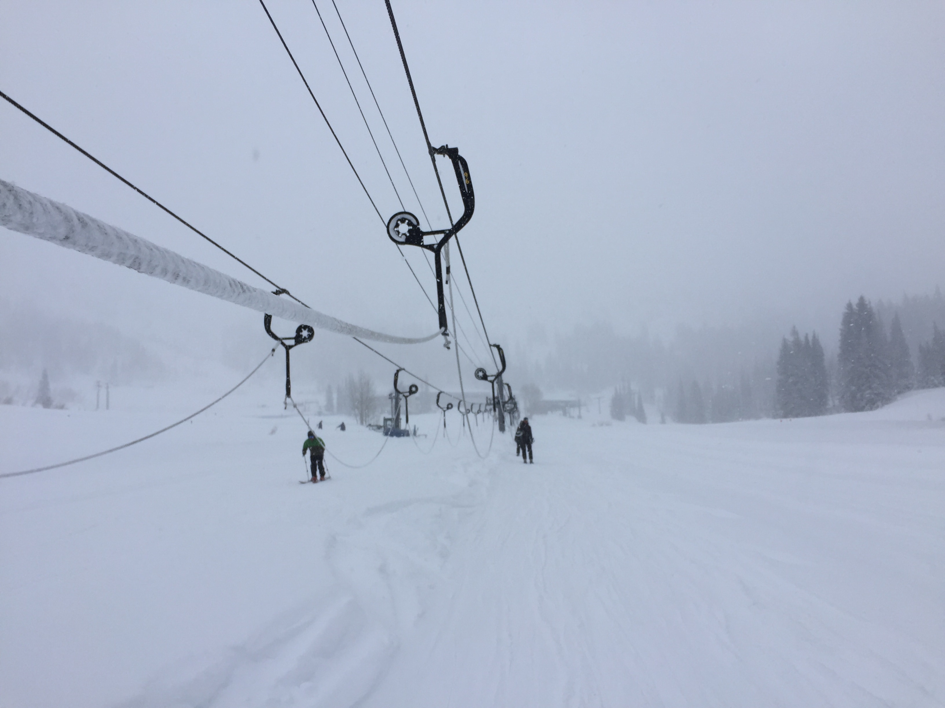 Alta Ski Area January 2017