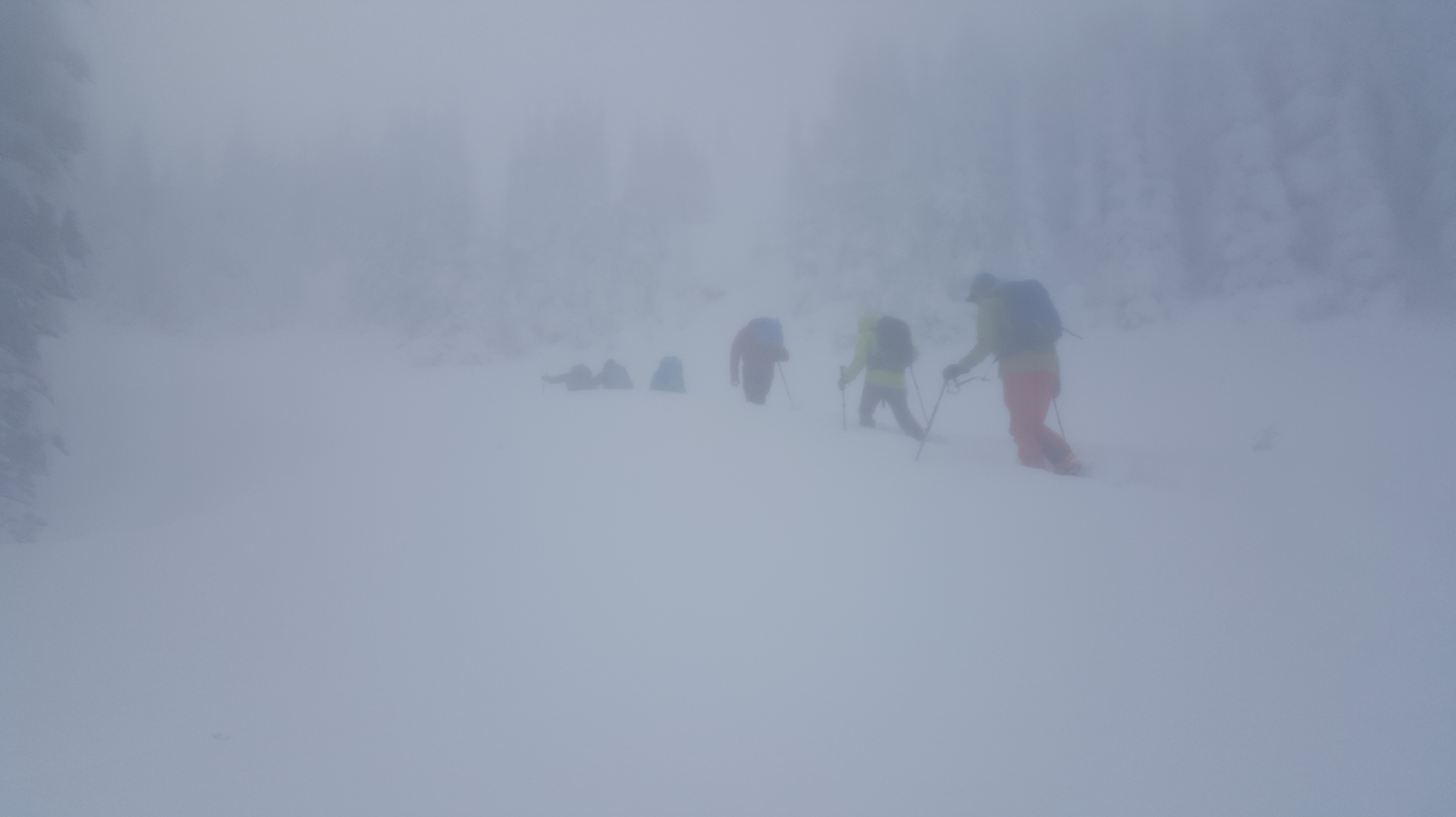 Skinning up the mountain. Image: Pro Guiding Service