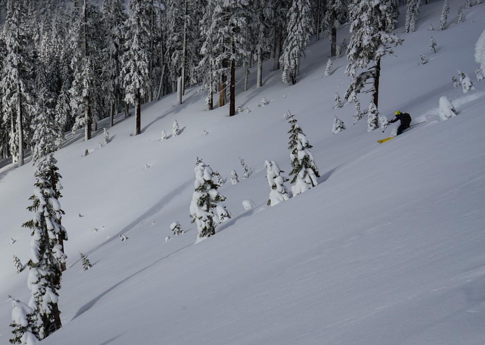 Mt. Shasta backcountry skiing. PC: Mount Shasta Guides
