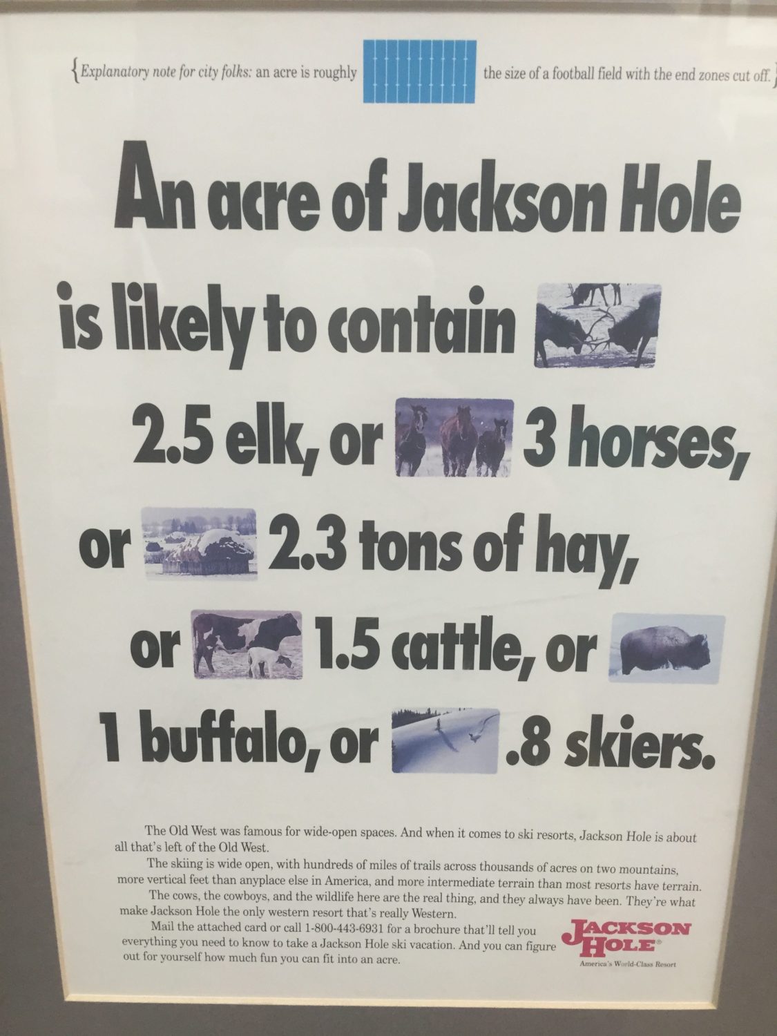 Classy advertising from Jackson Hole.