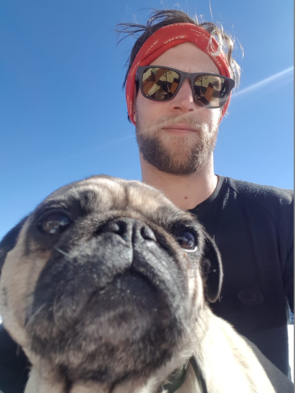 Head Shaper Dog Charlie and Me enjoying the Sun