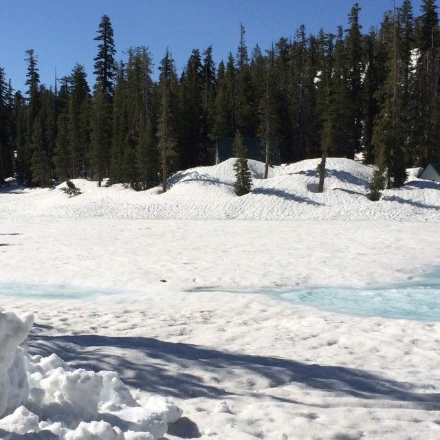 Opening Updates Tioga Pass Sonora Pass Ebbetts Pass Ca Snowbrains