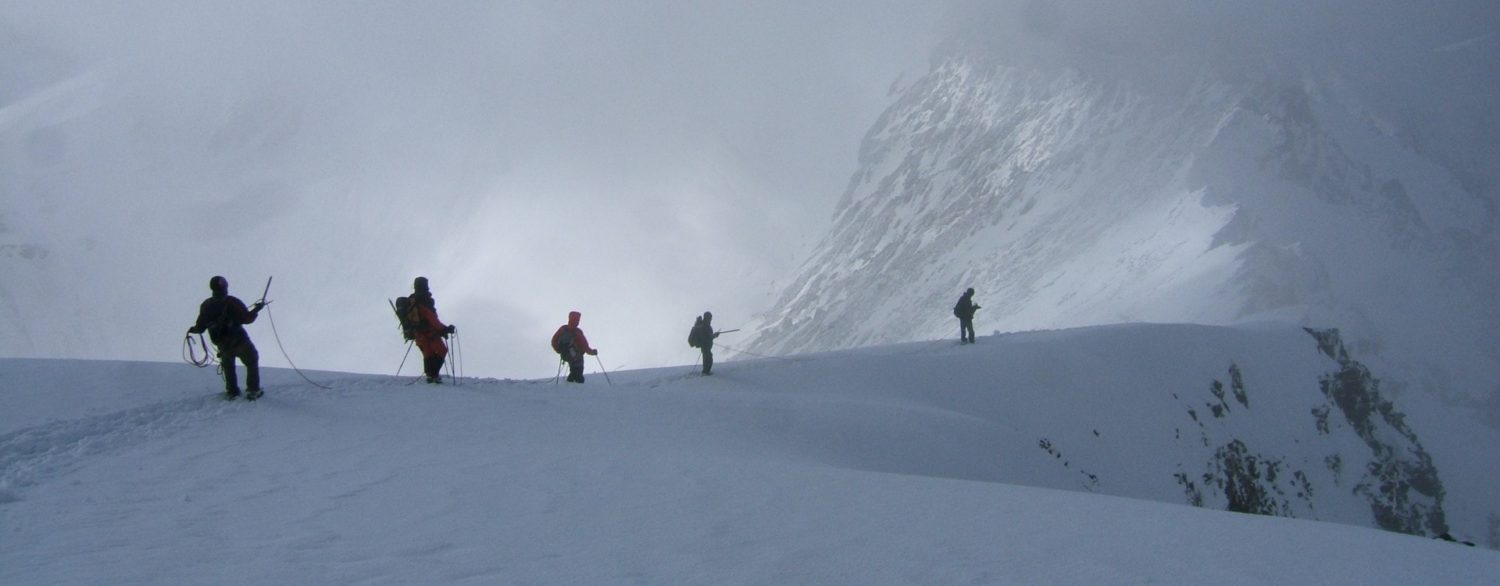 Trekkers, snow, mountain, climbing, himalayas, stok kagri