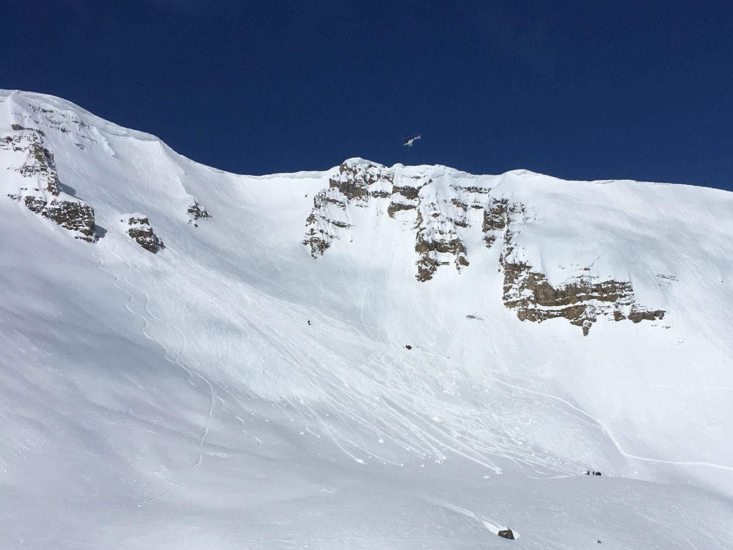 Jackson hole, pro skier, critical