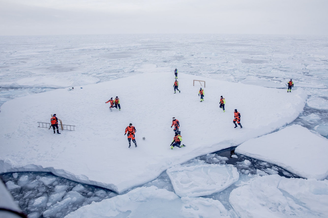 arctic, soccer, polar bears, armed guards