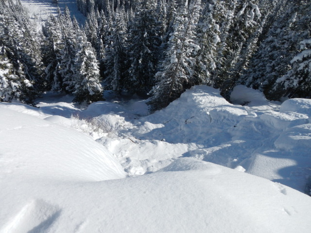 slide, inbounds avalanche