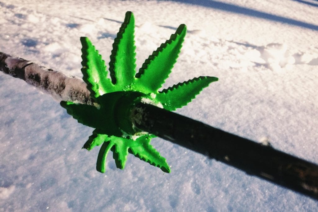 basket buds, marijuana, ski pole