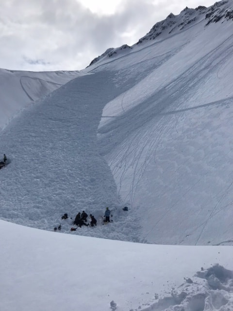 avalanche, alaska, snowmobiler