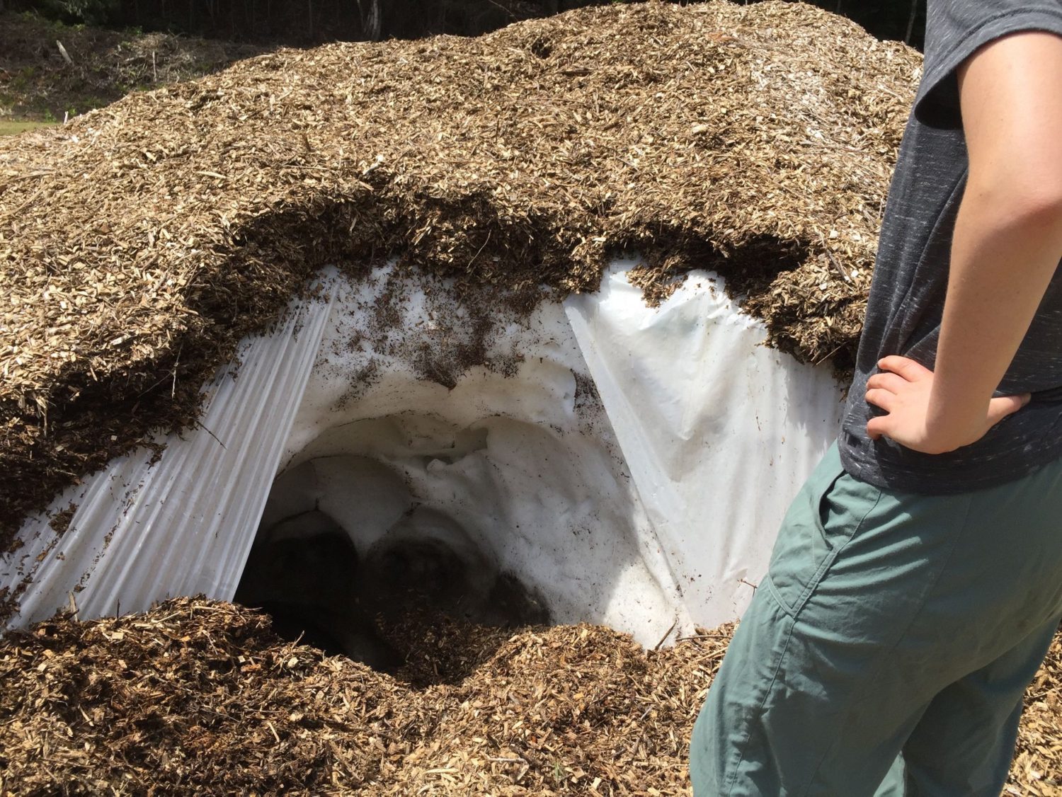 Testing the wood-chip method, snow farming