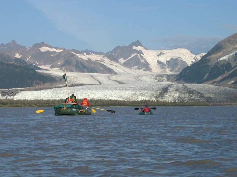 grizzly, Alaska,