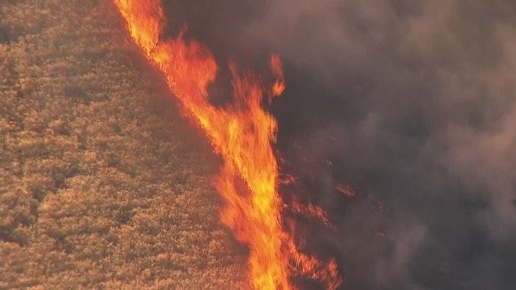 wildfire, Oregon, state emergency