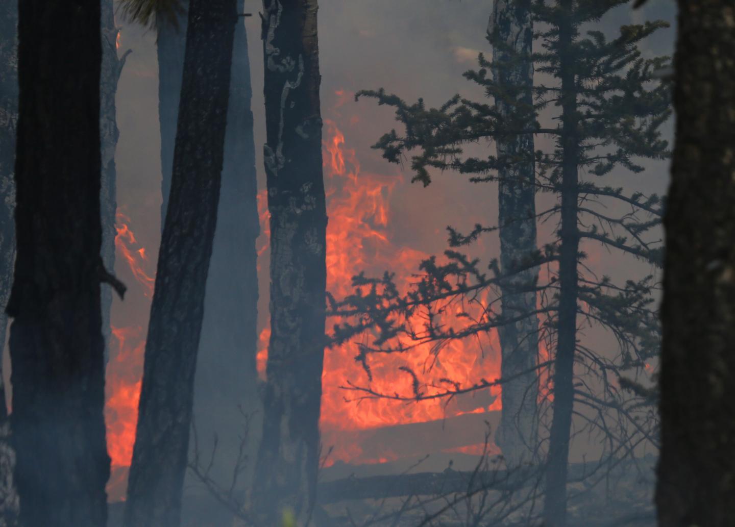 wildfire, fire, Utah , fires