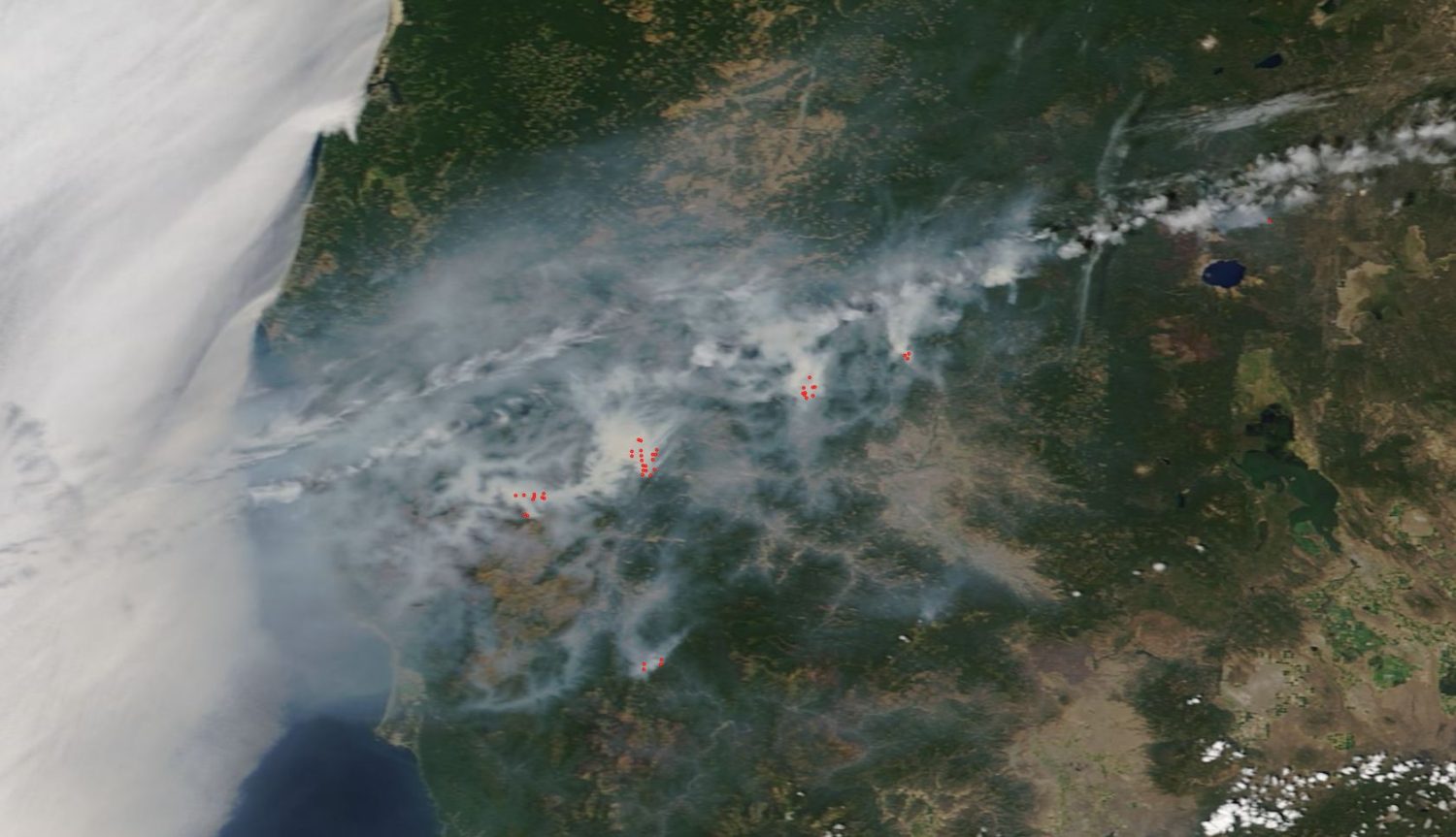 wildfire, fire, forest fire, Oregon, california, colorado