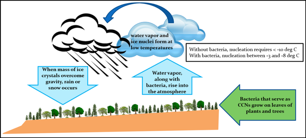 Can Bio Precipitation And Cloud Seeding Elevate Snow Levels