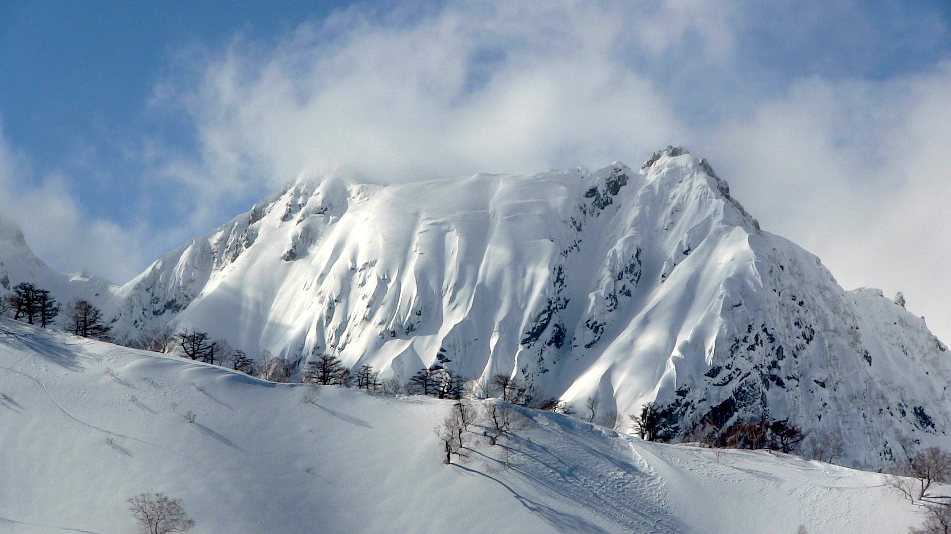 A beautiful face in Hakuba