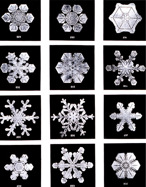 No two snowflakes are alike