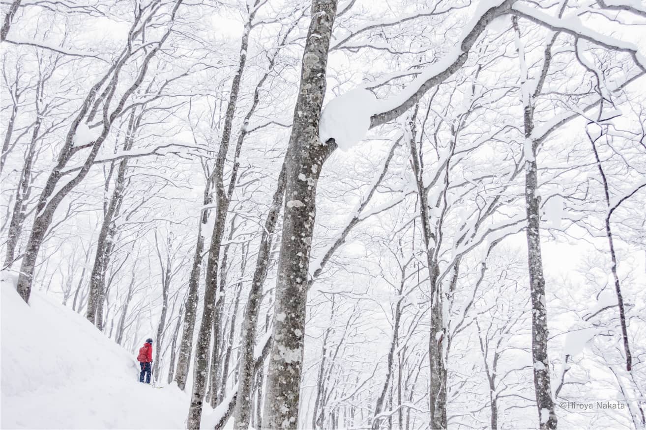 Hakuba Valley 