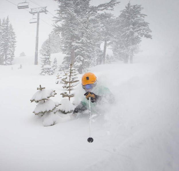 Lake Tahoe Ski Resort Snowfall Totals Up to 17" of New Snow SnowBrains