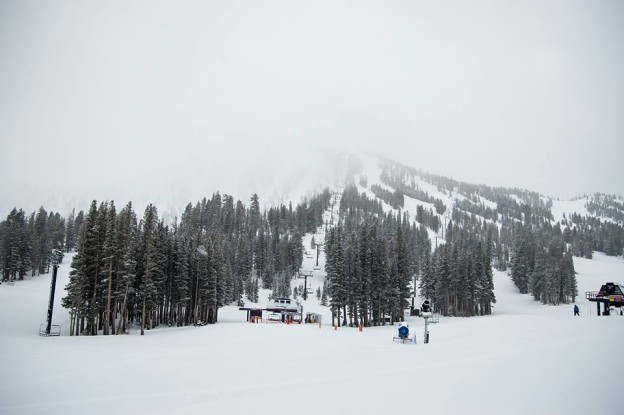 Lake Tahoe Ski Resort Snowfall Totals | Up To 17" Of New Snow - SnowBrains